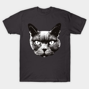 British Shorthair - British Shorthair Christmas Gifts T-Shirt